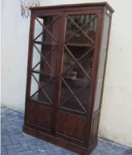 Glazed cabinet with X-panels