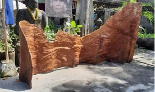 Teak-root sculpture screen, reference SK17-9