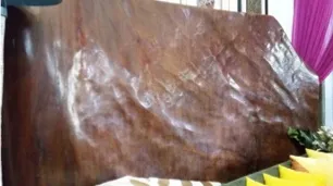 Live-edge slab screen, reference SK19-14